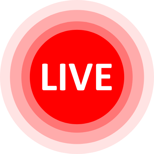 Hamster Cam Live